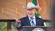 Según el diplomático, el mandatario temía que el cofundador del Cártel de Sinaloa proporcionara detalles comprometedores sobre la relación de funcionarios públicos mexicanos con el crimen organizado (Foto: Cuartoscuro)