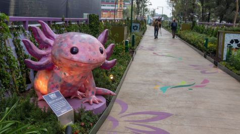 Ayer, cuadrillas de trabajadores retomaron las tareas pendientes para consolidar el vínculo peatonal entre este nuevo espacio público y la red de transporte masivo (Foto: Cuartoscuro)