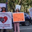 A través de un comunicado, los integrantes de la organización aseguraron que no existe justificación legal para mantener a los animales bajo custodia externa (Foto: Cuartoscuro) A través de un comunicado, los integrantes de la organización aseguraron que no existe justificación legal para mantener a los animales bajo custodia externa (Foto: Cuartoscuro)