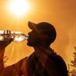 Las olas de calor son una creciente amenaza a la salud, con 500 mil muertes anuales: OMS (IA)