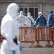 OMS declarará el fin del brote de hantavirus en el crucero MV Hondius el 2 de julio (Foto EFE)