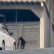 Hasta el cierre de esta nota, las autoridades no han informado de personas detenidas por este crimen (Foto: N+)