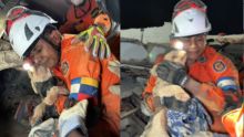Perrita conmueve con su reacción tras ser rescatada del terremoto en Venezuela. (especial)