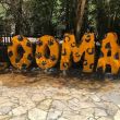 El hallazgo consistió en dos chachalacas silvestres que dieron positivo al patógeno tras presentar signos de enfermedad (Foto: Especial)