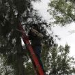  “El Poder del Pueblo”, el alcalde Daniel Serrano Palacios, dio cuenta de los trabajos realizados por la Dirección de Sustentabilidad y Medio Ambiente