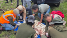 La captura del tigre Kenzo provocó versiones encontradas sobre su estado de salud. (Foto: Profepa)