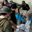 La Profepa confirmó que Kenzo falleció tras el operativo de rescate y anunció la clausura temporal del centro del que escapó. (Foto: Profepa)
