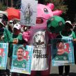 Familiares de personas desaparecidas posan al terminar un partido de fútbol durante una manifestación en Ciudad de México (Foto: EFE) Familiares de personas desaparecidas posan al terminar un partido de fútbol durante una manifestación en Ciudad de México (Foto: EFE)