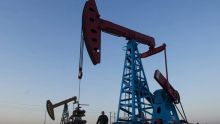 Esta decisión tomada hoy domingo, se suma a los aumentos autorizados para junio y julio, formando parte de una estrategia integral para revertir los recortes implementados en 2023 para estabilizar el mercado (Foto: EFE)