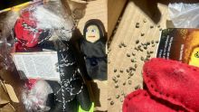 Aseguran semillas de cannabis ocultas en muñecos vudú. (ANAM)