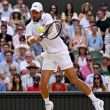 “The Wolf in Winter” un documental para conocer a Novak Djokovic. EFE
