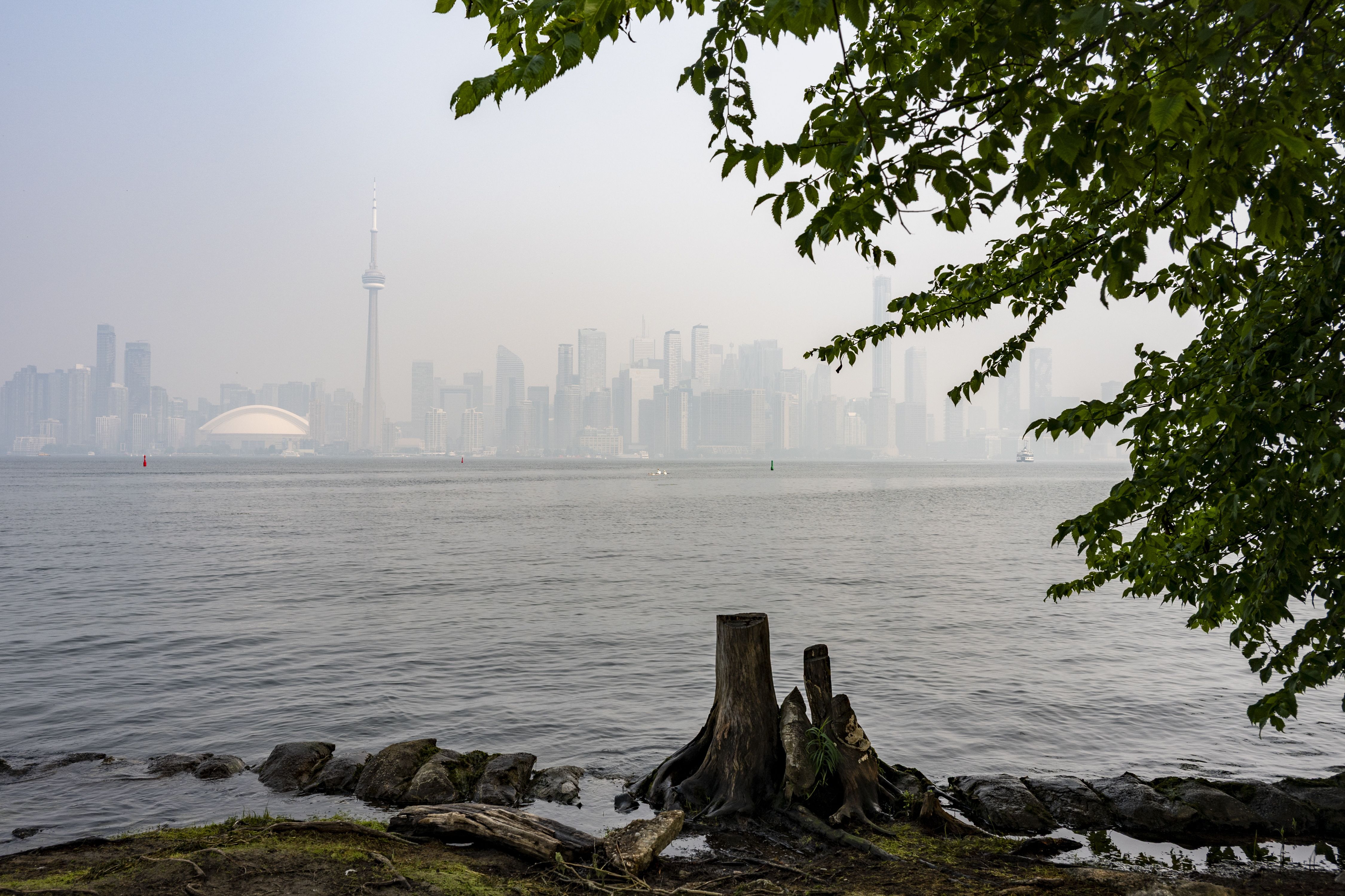 Postales apocalípticas de Toronto, Canadá, cubierta de humo por los más de 100 incendios forestales