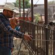 Primer caso de gusano barrenador en Chihuahua preocupa al sector ganadero. (EFE)