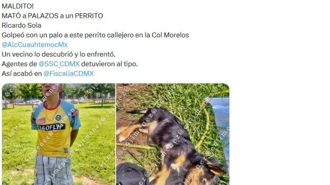 Detienen sujeto matar perro en la Morelos Detienen sujeto matar perro en la Morelos