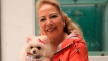 Celebraron Día Internacional del Perro