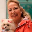 Celebraron Día Internacional del Perro
