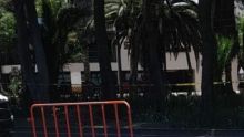 El conductor fue detenido y trasladado ante las autoridades ministeriales para determinar su situación jurídica (Foto: @israellorenzana)