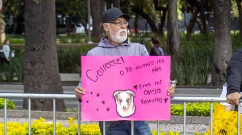 El 'Adidas Splits 30K' reunió a 8,000 corredores en Paseo de la Reforma, en una jornada que puso a prueba la resistencia, preparación y disciplina de participantes de distintos niveles dentro del creciente mundo del running (Foto: Brandon Díaz de León)