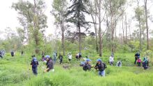 Jornada de reforestación en el Parque La Hoja.