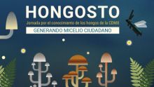 SEDEMA y UNAM presentan Hongosto 2026 con 43 actividades para promover la conservación de los hongos. (especial)