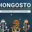 SEDEMA y UNAM presentan Hongosto 2026 con 43 actividades para promover la conservación de los hongos. (especial)