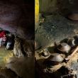 Hallan 179 piezas arqueológicas ocultas durante siglos en una cueva de Cintalapa, Chiapas.(INAH)