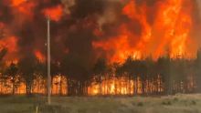 En un comunicado, la Comisión Nacional Forestal informó que el personal desplegado acudirá a Thunder Bay, en la provincia de Ontario (centro-este de Canadá) (Foto: Ilustrativa / EFE)