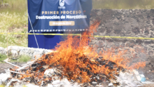 Las sustancias ilícitas estaban relacionadas con 600 investigaciones iniciadas entre 2017 y 2025 y fueron destruidas en coordinación con la Defensa. (Foto: FGJCDMX)