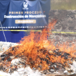 Las sustancias ilícitas estaban relacionadas con 600 investigaciones iniciadas entre 2017 y 2025 y fueron destruidas en coordinación con la Defensa. (Foto: FGJCDMX)