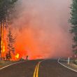 Washington y Oregón bajo fuego: La peor temporada de incendios en 30 años. (Foto EFE) Washington y Oregón bajo fuego: La peor temporada de incendios en 30 años. (Foto EFE)