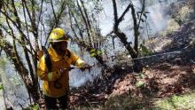 El siniestro se localiza a la altura del kilómetro 107.4 de la vía de acceso al centro poblado, una zona de vital importancia ecológica y parte del patrimonio mundial (Foto:  @Agencia_Andina)