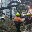 El suceso tuvo lugar específicamente en la intersección de las calles Cerrada de Eugenia y Concepción Béistegui (Foto: Especial) El suceso tuvo lugar específicamente en la intersección de las calles Cerrada de Eugenia y Concepción Béistegui (Foto: Especial)