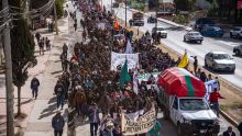La protesta, que recorrió más de 10 kilómetros, congregó a habitantes de las regiones de Chilón, Sitalá, Bachajón, Jetha' y Ahlan Sac Hun (Foto: EFE)