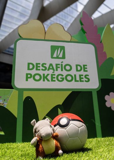 Pokémon Día radiante Desafio de Pokégoles Pokémon Día radiante Desafio de Pokégoles