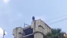 Los hechos ocurrieron en las inmediaciones del Distribuidor Vial Heberto Castillo, en la zona de la colonia Jardín Balbuena y El Parque (Foto: Especial)