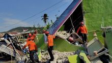Sismo de 7.7 en Flores: Crisis humanitaria y estado de emergencia en Indonesia (Foto EFE)