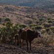 El Niño se define como un calentamiento fuera de lo común en el Océano Pacífico ecuatorial (Foto: Cuartoscuro)