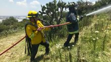 Coordinación de Protección Civil y Bomberos, en colaboración con la Dirección de Medio Ambiente