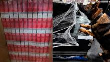 Aseguran cuatro embarques con más de 5.8 millones de cigarros apócrifos en el AICM. (Gabinete de seguridad)