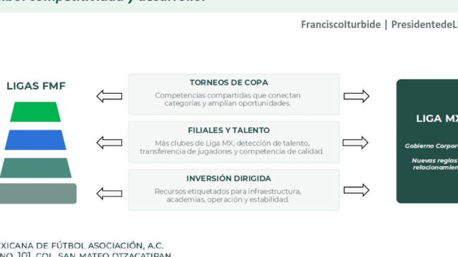 Esquema de relación Liga MX con Pirámide FMF. X:@FMF Esquema de relación Liga MX con Pirámide FMF. X:@FMF