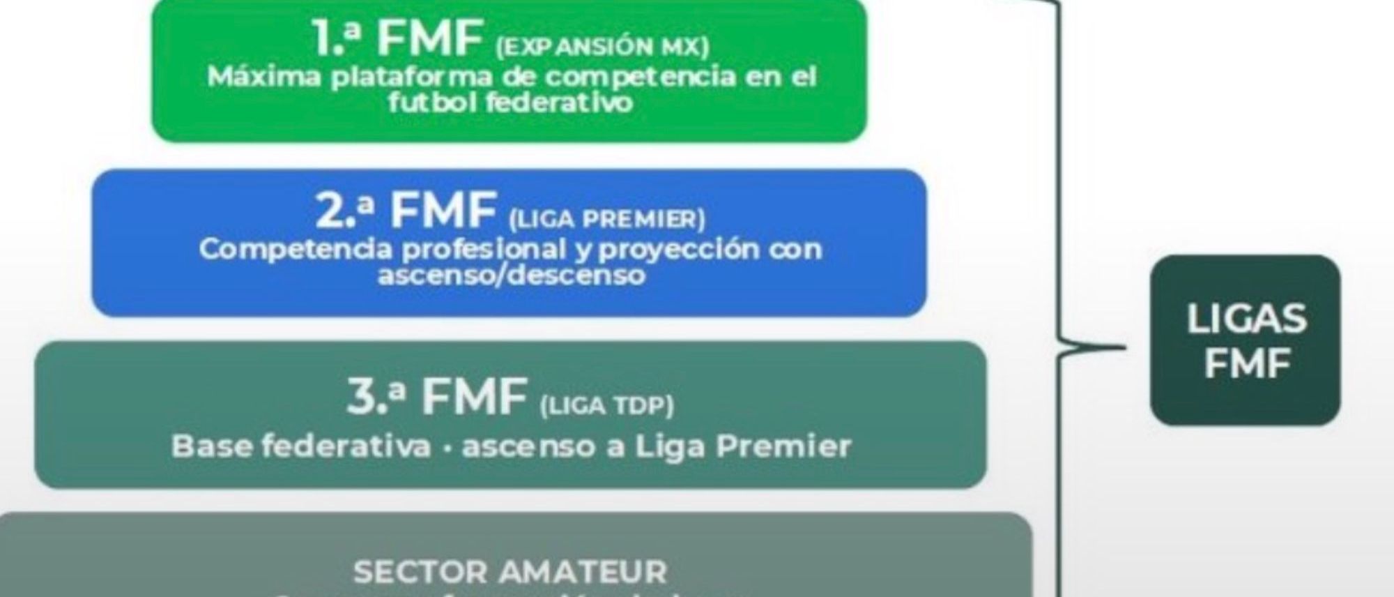 FMF anuncia nuevo modelo deportivo. X:@FMF FMF anuncia nuevo modelo deportivo. X:@FMF