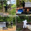 Fuerzas federales asestan golpe al narcotráfico en tres municipios de Sinaloa. (Gabinete de seguridad)