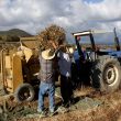 Dos años sin lluvias dejan a 10 mil productores de Chiapas al borde de la quiebra. (Cuartoscuro) Dos años sin lluvias dejan a 10 mil productores de Chiapas al borde de la quiebra. (Cuartoscuro)