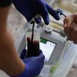 La propuesta, planteada bajo un punto de acuerdo por la legisladora morenista Judith Vanegas Tapia, busca que la Secretaría de Salud citadina (Sedesa) y las 16 alcaldías unifiquen esfuerzos (Foto: Cuartoscuro) La propuesta, planteada bajo un punto de acuerdo por la legisladora morenista Judith Vanegas Tapia, busca que la Secretaría de Salud citadina (Sedesa) y las 16 alcaldías unifiquen esfuerzos (Foto: Cuartoscuro)