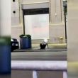 Incursiones en el alcantarillado de Nueva York: ¿Qué hay detrás de los videos virales? Incursiones en el alcantarillado de Nueva York: ¿Qué hay detrás de los videos virales?