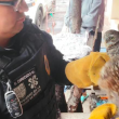     2026 De acuerdo con la valoración, el búho posiblemente tuvo un altercado con otra especie, situación que le habría provocado la pérdida de algunas plumas y las dificultades para emprender el vuelo. (Foto: SSC) 25T174111.846