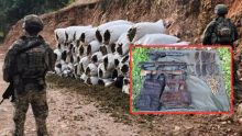 Aseguran armas, granadas, vehículos y más de una tonelada de marihuana en Sinaloa. (especial)
