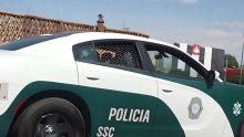 Ante estos hechos, la Secretaría de Seguridad Ciudadana (SSC) informó que se encuentra realizando labores de rastreo y seguimiento para identificar y capturar a los responsables (Foto: Ilustrativa)