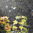 De acuerdo con el reporte meteorológico, la temperatura máxima será de 27 grados Celsius, mientras que las precipitaciones podrían estar acompañadas de actividad eléctrica y posible caída de granizo. (Foto: Especial)