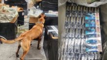 Aseguran millones de cigarros apócrifos en el AICM y Lázaro Cárdenas, Michoacán. (EFE)